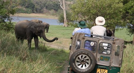 Increased Tourist Arrivals in Sri Lanka – The Bar Is Raised Higher
