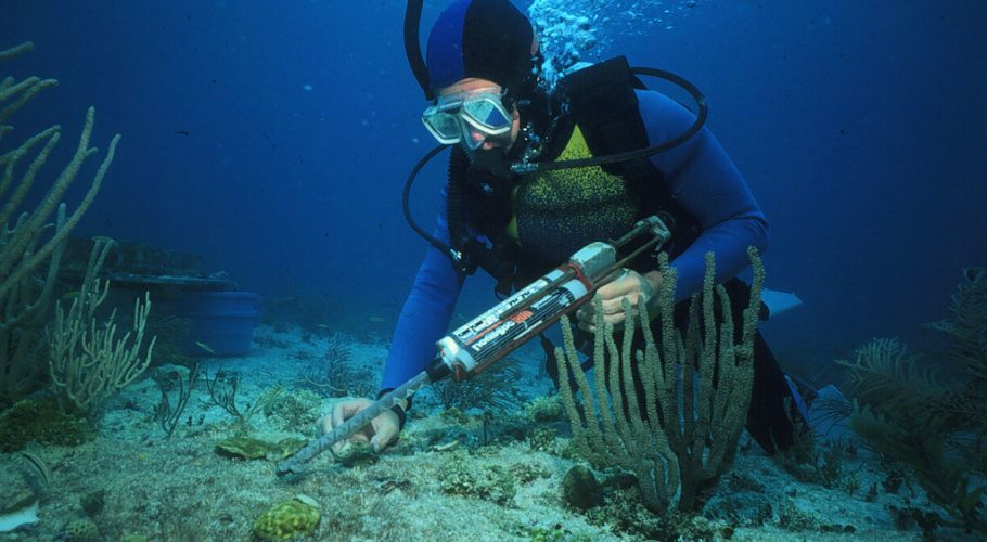 Coral & Marine Conservation