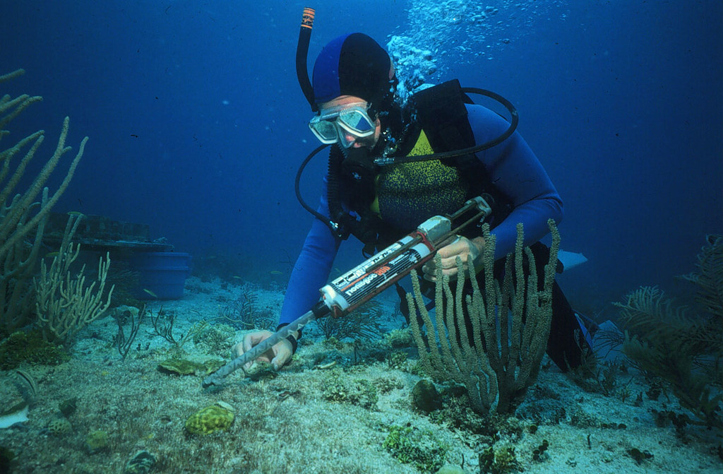 Coral & Marine Conservation