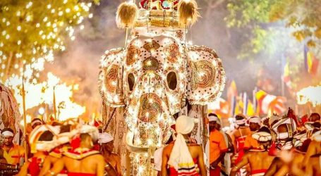 The Kandy Esala Perahera Being Celebrated in Sri Lanka – A Grand Festival in the Hill Capital