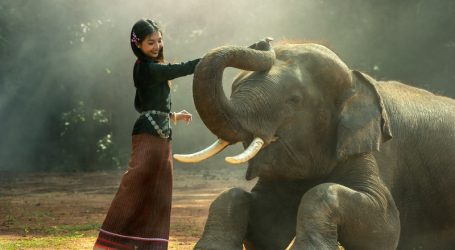 Pattaya Garden hosts 1,400 Chinese tourists for Elephant Show – Engaging Spectacles