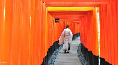 New Guided Tours in Kyoto to the Fushimi Inari Shrine & Arashiyama Bamboo Forest