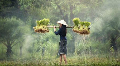 International Business Forum on AgTech and Agri-Food in Vietnam – An Insightful Event