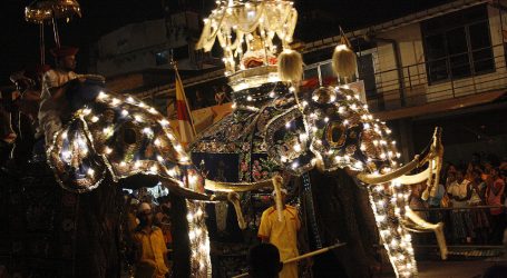 The Kandy Esala Perahera – An important celebration for everything Sri Lankan!