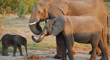Botswana Tourism Investment Summit: Unveiling Economic Potential and Growth Prospects