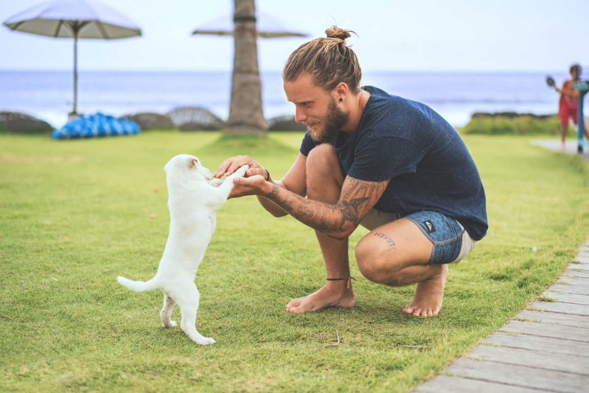 Family and Pet-Friendly