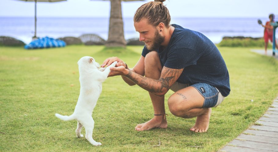 Family and Pet-Friendly