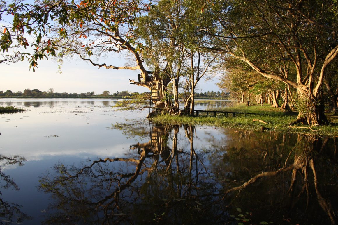 Habarana
