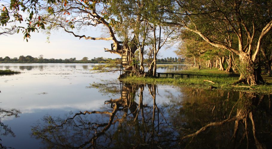 Habarana