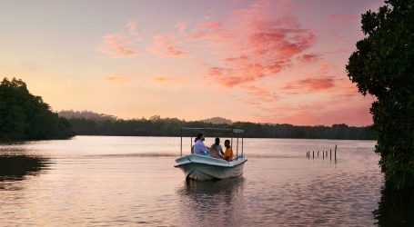 25,000 Visitors Recorded in the First Four Days of 2024: Huge Boost for Sri Lanka