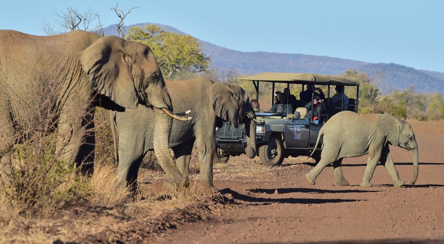 African Tourism