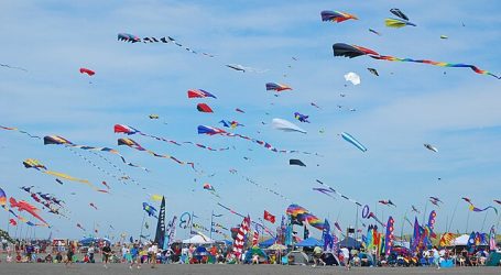 International Kite Festival Held in Cha Am – Vibrant Creations Take to the Skies