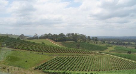 The Return of Evolve 2024: NSW Hunter Valley to Host