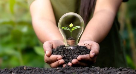 Environmental Campaigners in Mauritius take steps forward – Pushing for continued sustainability