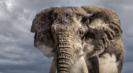  This Lesser-Known National Park in Kenya Is the Ultimate Spot for Elephant Sightings — Here’s Where to Stay and How to See Them