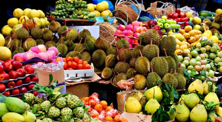 Chanthaburi Fruit Festival Held in Thailand – Visitors Enjoy Fruit-filled Festivities!