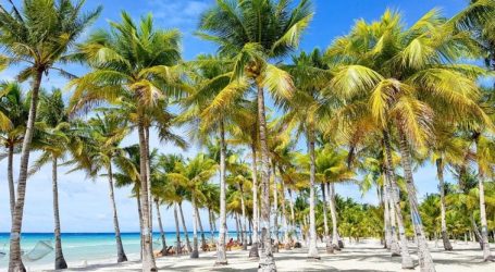 Jamaica’s Tourism Thrives in 2024 Despite Travel Advisories – Record Tourism Despite Travel Warnings