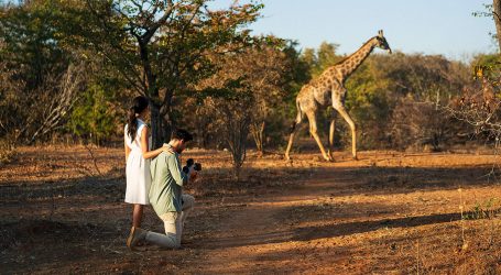 Travel Hospitality & Tourism Education Summit Held in Zambia – Fostering Tourism Development