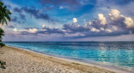 BBC Travel Highlights the ‘Sea of Stars’ in Maldives – Discover a Dazzling Spectacle