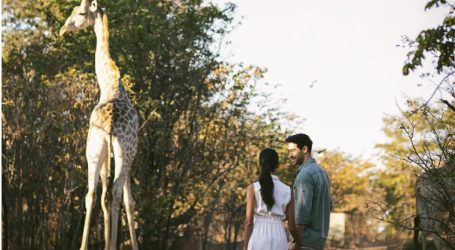 Groundbreaking Southern African Shengen-Style Visa – New Era for Tourism in the Region 
