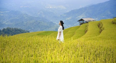 Women’s Union Establishment Day in Lao in 2024 – Celebrating the Role and Rights of Lao Women