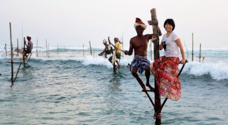 Tourist Arrivals in Sri Lanka Soar: Bringing Island Serenity to the World