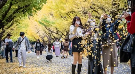 Why People are heading to Japan today – A resurging hotspot of Tourism