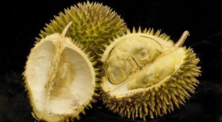 Malaysia Announces Durian Tourism Packages: Celebrating the King of Fruits