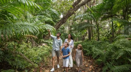Mauritius Tourism Promotion Authority & Air Mauritius Host Familiarization Trip for Indian Tour Operators: Establishing Successful Relations
