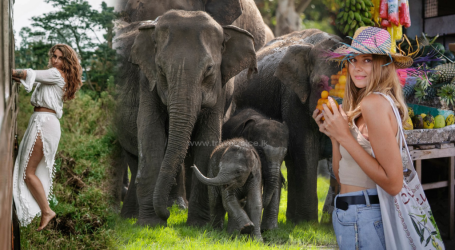 Sri Lanka Selected as Top Solo Travel Destination: A Promising Future for 2025