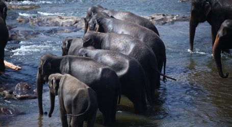 A Bold Tourism Goal: Sri Lanka’s Plans to Achieve 3 Million Arrivals by 2025
