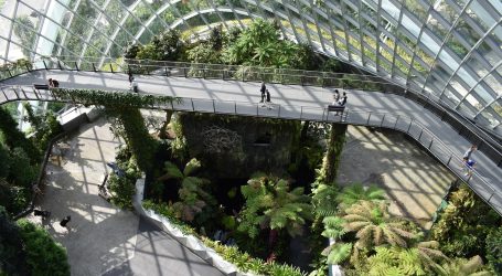 Sustainable Tourism in Singapore takes a step up – New initiatives revealed