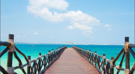 Tanzania Sets a New Record: 5.36 Million Tourists Flock to Its Iconic Wildlife and Stunning Zanzibar Shores