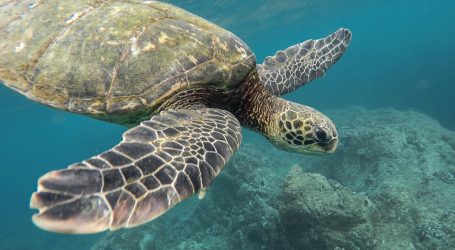 Cinnamon Maldives Leads the Way for Earth Day 2025 with Purposeful Action