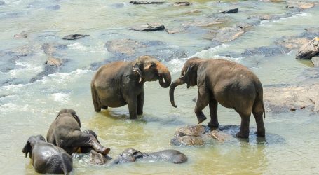 Sri Lanka Opens Visa-Free Travel to 40 Countries in Tourism Boost