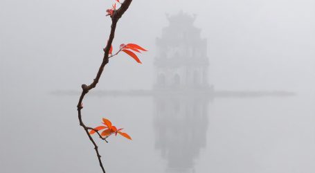 Hanoi Advances Urban Mobility with New Push for Seamless, Low-Carbon Transport