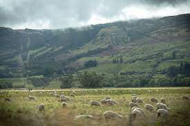 Glenarchy, New Zealand Lord of the Rings