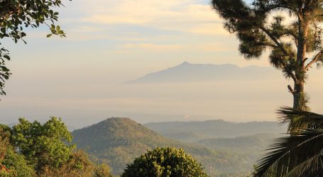 Tourism Experts Call for Fresh Strategies to Redefine Sri Lanka’s Travel Identity