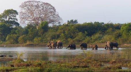 Sri Lanka Celebrates Two Millionth Tourist Arrival, Boosting Tourism Outlook