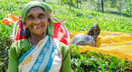 Sri Lanka Tourism’s Resilient Comeback: A Confident Step Forward