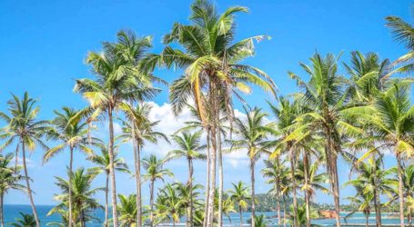 Sri Lanka Strengthens Tourism Partnership with India to Drive Sustainable Growth