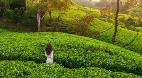 Sri Lanka Tops the List of Solo Travel Destinations for 2025 – Make sure you visit this year!