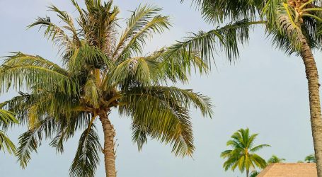 The Maldives Emerges as an Alternative Air Corridor Amid Middle East Disruptions