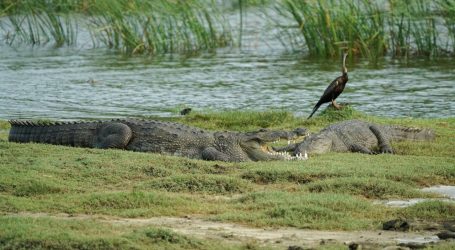 Sri Lanka Welcomes Over One Million Visitors in Strong Start to 2026