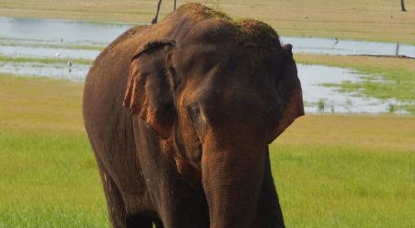 Sri Lanka Strengthens Tourism Push in China with High-Level Industry Briefing in Beijing