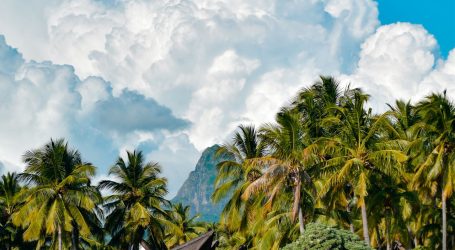 Mauritius Tourist Numbers Soar Across Five Months: A Dream Start to 2026