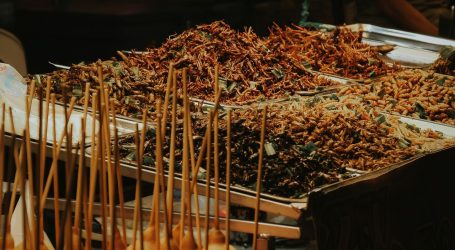 Street Food in Thailand – New App to Elevate Dining Standards 